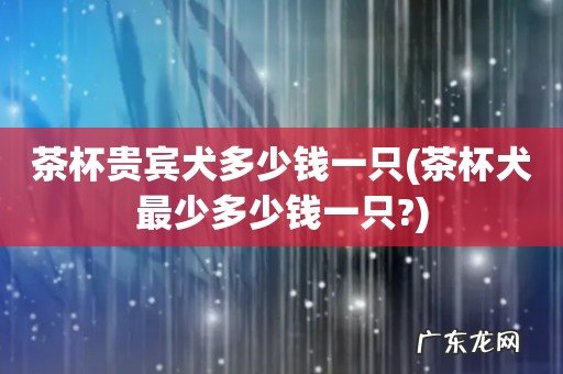 茶杯犬最少多少钱一只? 茶杯贵宾犬多少钱一只