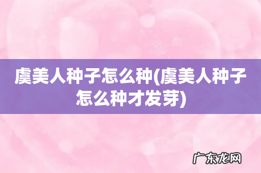 虞美人种子怎么种才发芽 虞美人种子怎么种