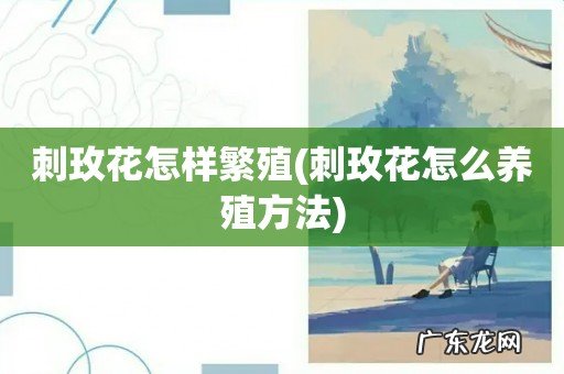 刺玫花怎么养殖方法 刺玫花怎样繁殖