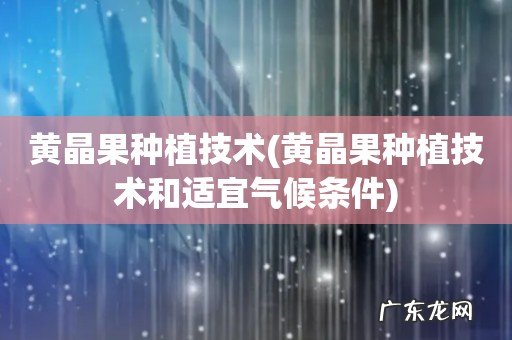 黄晶果种植技术和适宜气候条件 黄晶果种植技术