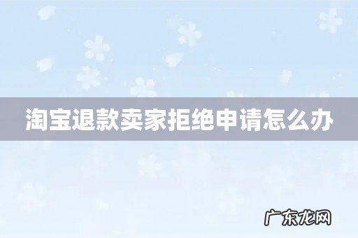 淘宝退款卖家拒绝申请怎么办