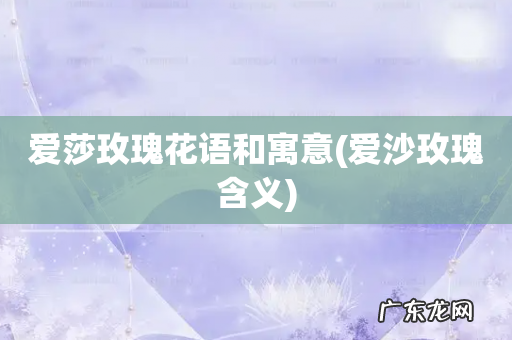 爱沙玫瑰含义 爱莎玫瑰花语和寓意