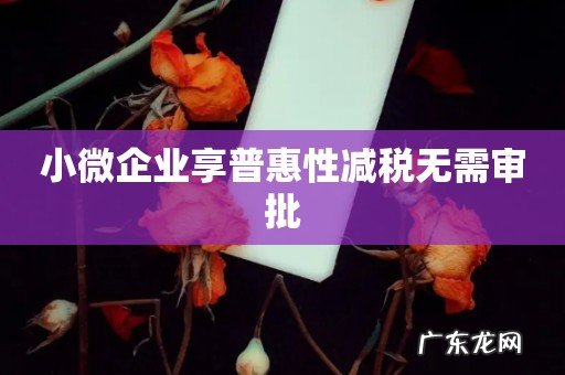 小微企业享普惠性减税无需审批