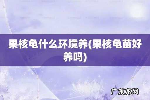 果核龟苗好养吗 果核龟什么环境养