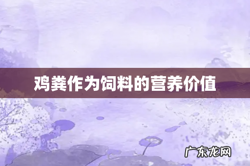 鸡粪作为饲料的营养价值