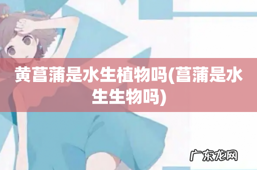 菖蒲是水生生物吗 黄菖蒲是水生植物吗