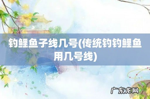 传统钓钓鲤鱼用几号线 钓鲤鱼子线几号