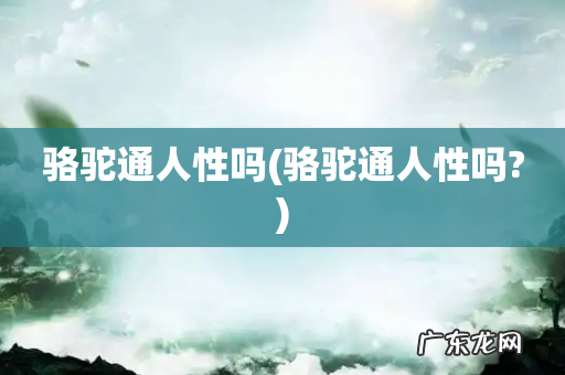 骆驼通人性吗? 骆驼通人性吗