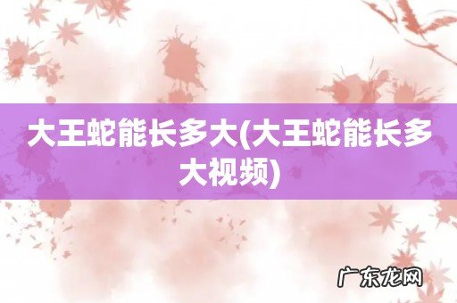 大王蛇能长多大视频 大王蛇能长多大