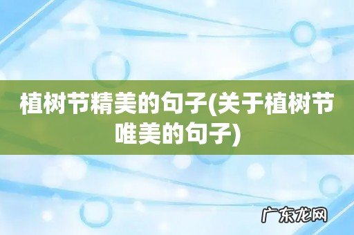 关于植树节唯美的句子 植树节精美的句子