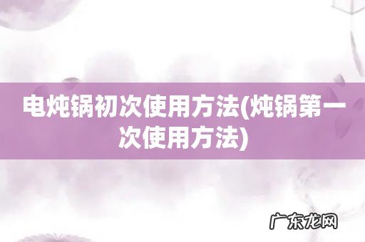 炖锅第一次使用方法 电炖锅初次使用方法
