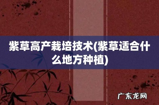 紫草适合什么地方种植 紫草高产栽培技术