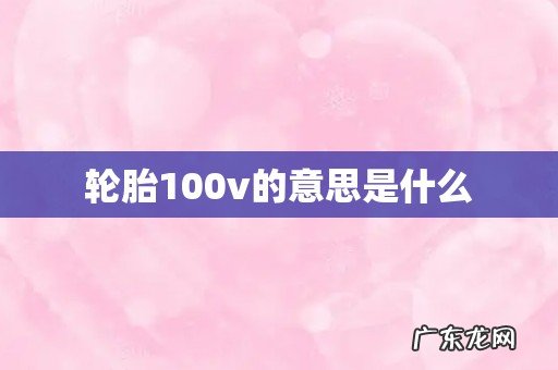 轮胎100v的意思是什么