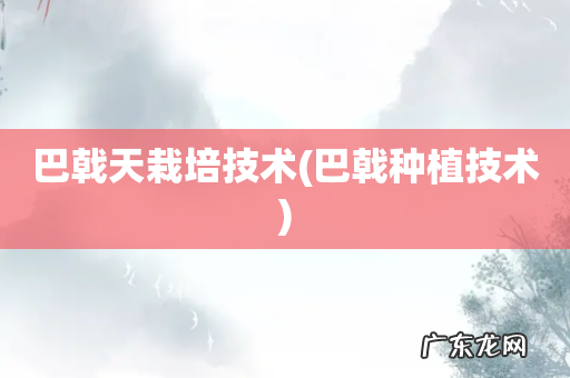 巴戟种植技术 巴戟天栽培技术