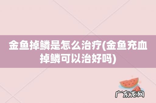 金鱼充血掉鳞可以治好吗 金鱼掉鳞是怎么治疗