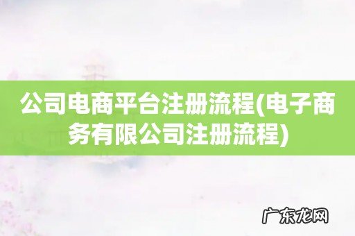 电子商务有限公司注册流程 公司电商平台注册流程