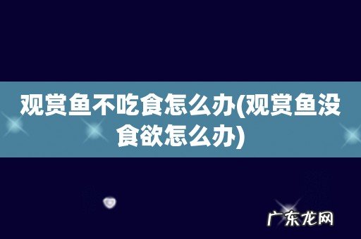 观赏鱼没食欲怎么办 观赏鱼不吃食怎么办