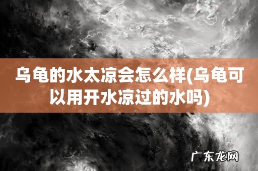 乌龟可以用开水凉过的水吗 乌龟的水太凉会怎么样