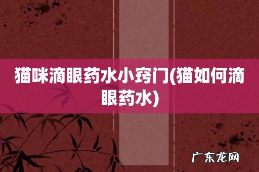 猫如何滴眼药水 猫咪滴眼药水小窍门