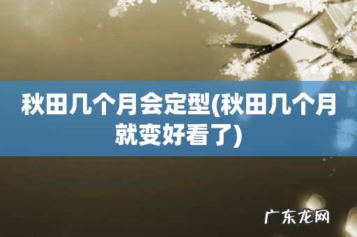 秋田几个月就变好看了 秋田几个月会定型