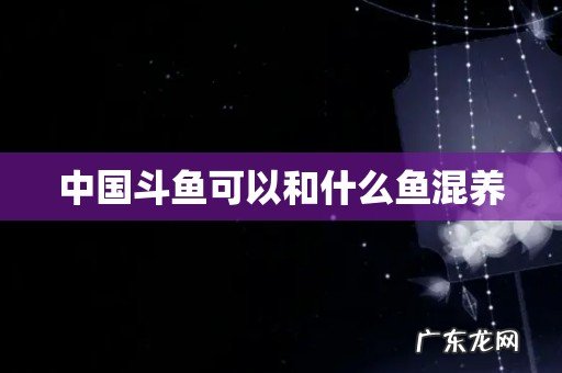 中国斗鱼可以和什么鱼混养