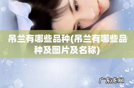 吊兰有哪些品种及图片及名称 吊兰有哪些品种