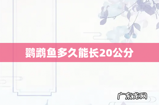 鹦鹉鱼多久能长20公分