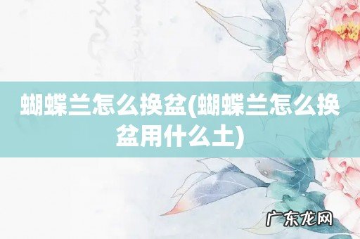 蝴蝶兰怎么换盆用什么土 蝴蝶兰怎么换盆