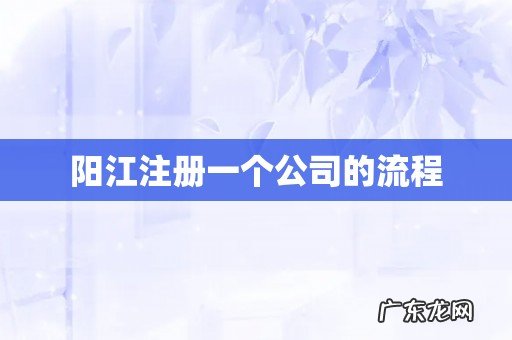 阳江注册一个公司的流程