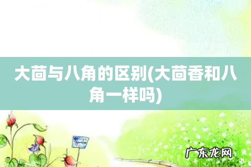 大茴香和八角一样吗 大茴与八角的区别