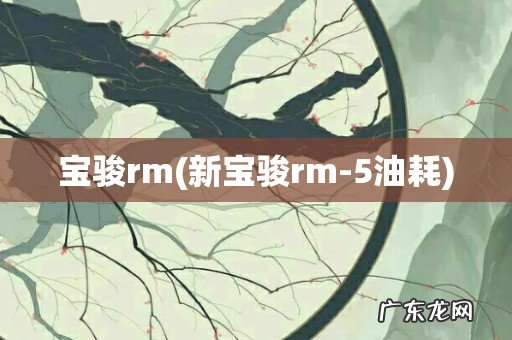 新宝骏rm-5油耗 宝骏rm