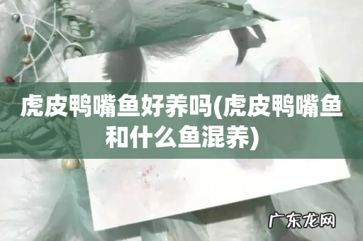 虎皮鸭嘴鱼和什么鱼混养 虎皮鸭嘴鱼好养吗