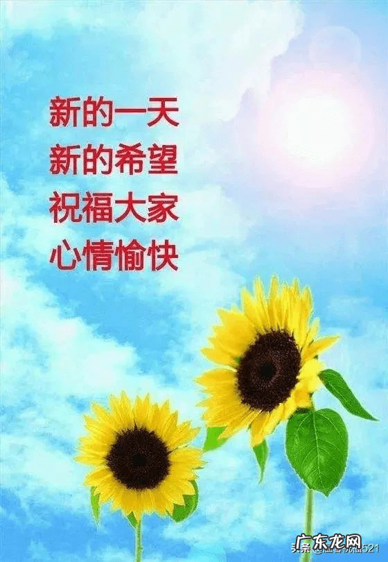 周末简单问候语 zhufuduanxin