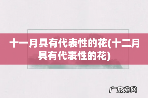 十二月具有代表性的花 十一月具有代表性的花
