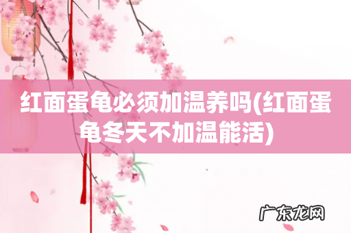 红面蛋龟冬天不加温能活 红面蛋龟必须加温养吗