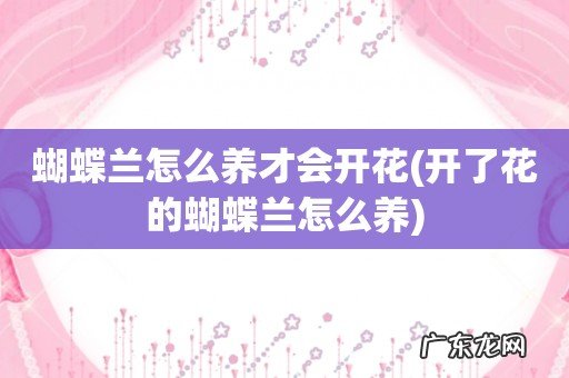 开了花的蝴蝶兰怎么养 蝴蝶兰怎么养才会开花