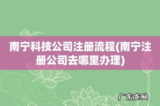 南宁注册公司去哪里办理 南宁科技公司注册流程