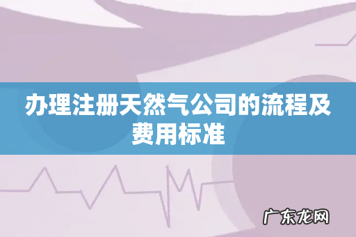 办理注册天然气公司的流程及费用标准