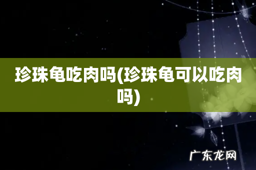 珍珠龟可以吃肉吗 珍珠龟吃肉吗