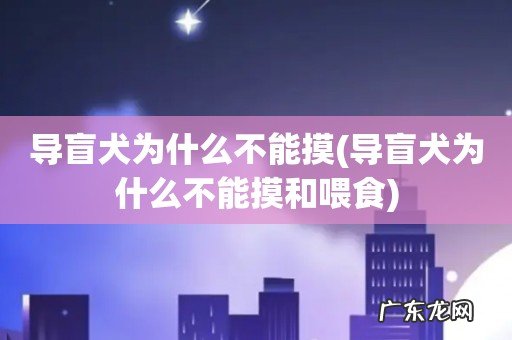 导盲犬为什么不能摸和喂食 导盲犬为什么不能摸