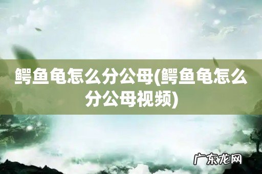 鳄鱼龟怎么分公母视频 鳄鱼龟怎么分公母