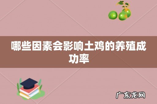 哪些因素会影响土鸡的养殖成功率