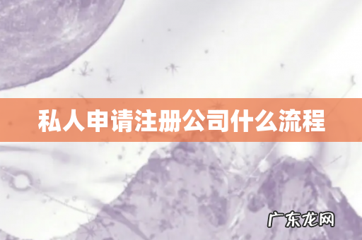 私人申请注册公司什么流程