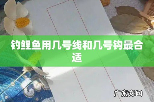 钓鲤鱼用几号线和几号钩最合适