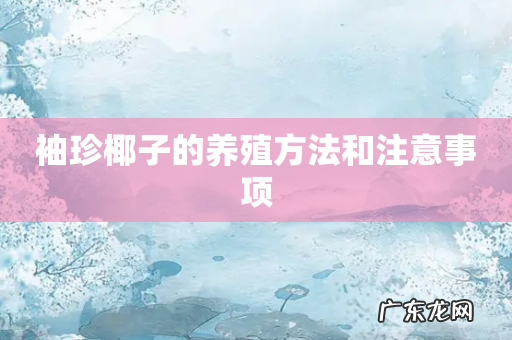 袖珍椰子的养殖方法和注意事项