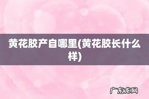 黄花胶长什么样 黄花胶产自哪里