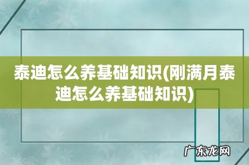 刚满月泰迪怎么养基础知识 泰迪怎么养基础知识