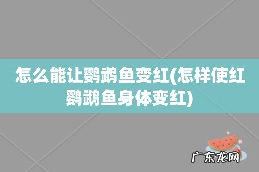 怎样使红鹦鹉鱼身体变红 怎么能让鹦鹉鱼变红
