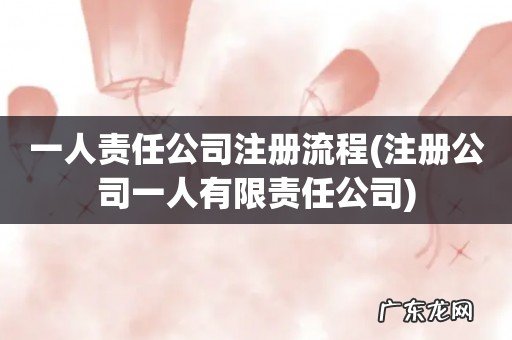 注册公司一人有限责任公司 一人责任公司注册流程