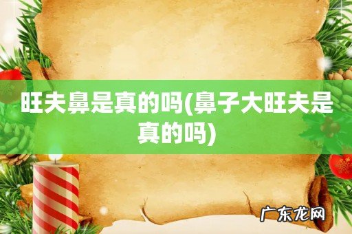 鼻子大旺夫是真的吗 旺夫鼻是真的吗